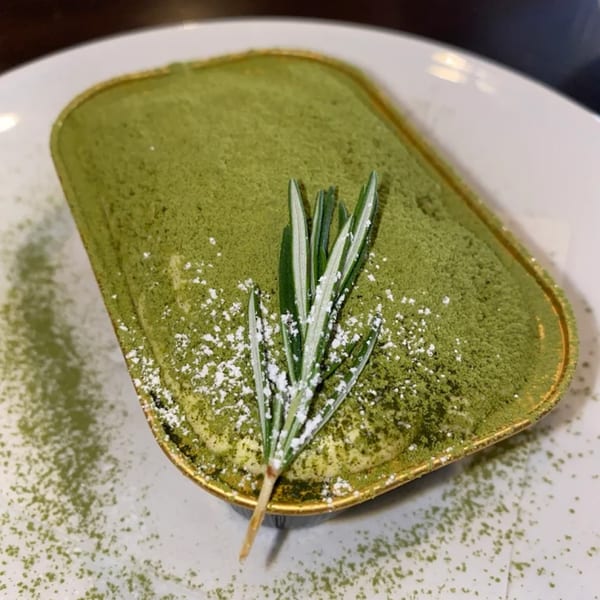 Matcha tiramisu dessert in a gold dish, dusted with powdered sugar and garnished with rosemary.