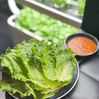 SSAM (lettuce & ssamjang)